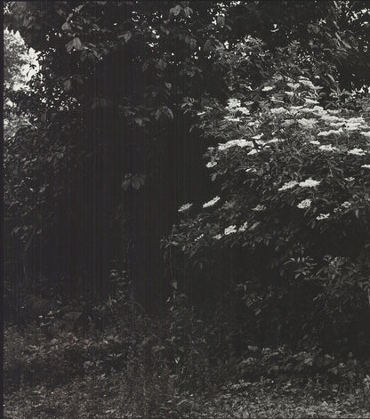 Reinhard Mucha Kasse Beim Fahrer " Offset Lithograph Photograp