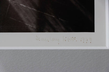 Jeanloup Sieff Original Gelatin Silver Print 1979 Signed Vintage Photograph