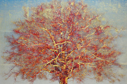 Joichi Hoshi Large Tree (Red) Woodblock print 1976 Edition signed ED99