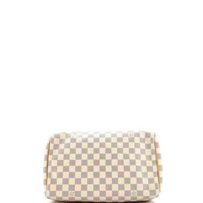 Louis Vuitton Speedy Handbag Damier 30