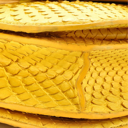 Celine Classic Box Bag Python Medium