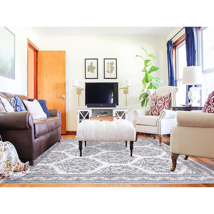 8'X9'9" Ivory Hand Knotted 100% Cotton Agra Design Rug