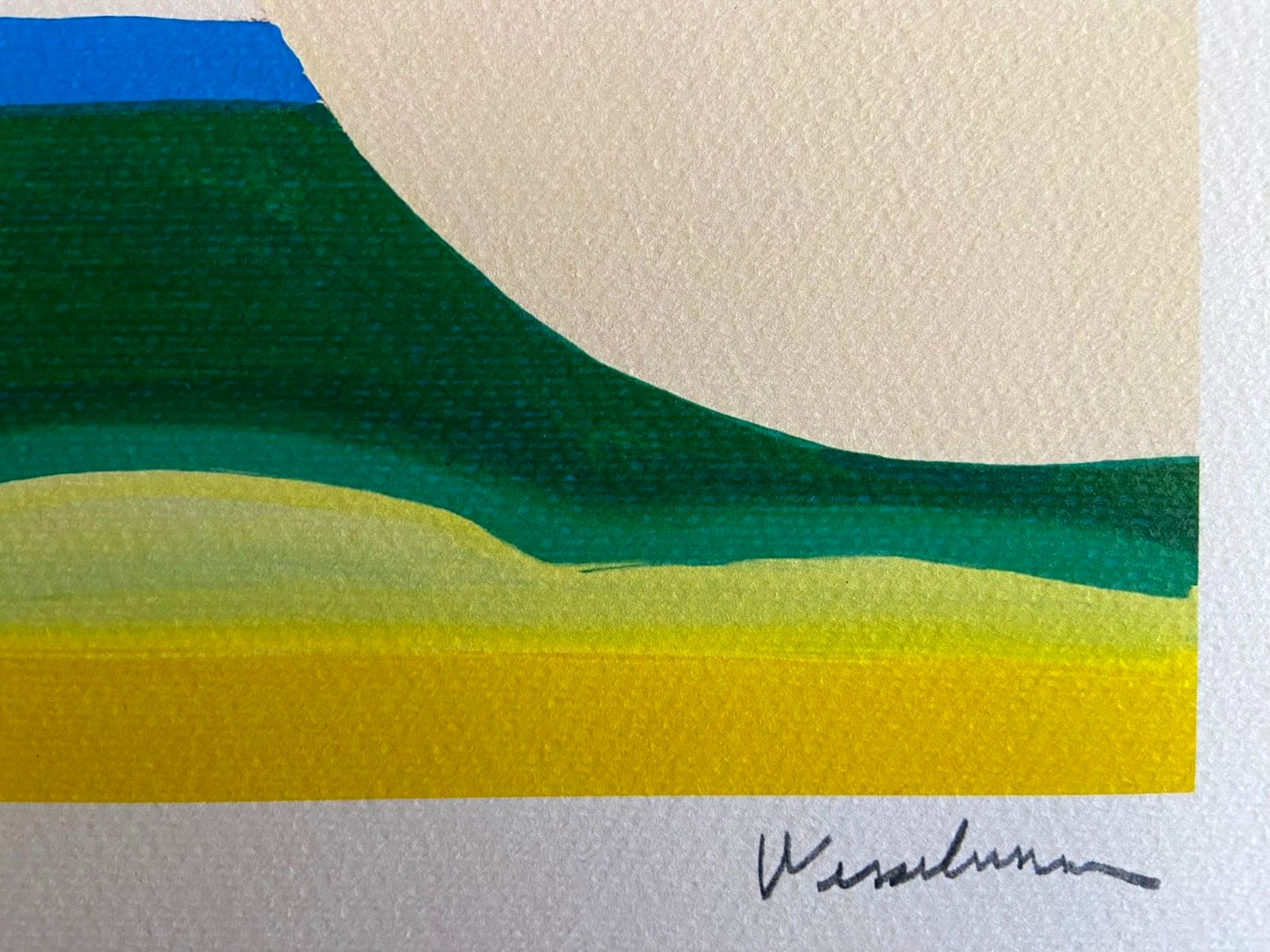 Tom Wesselmann Lithograph Coa Gagosian Signed Op Numbered By Hand