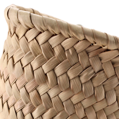 Celine Triomphe Basket Shoulder Bag Raffia With Leather Teen