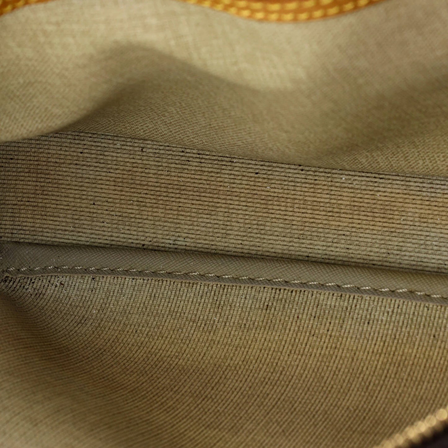 Louis Vuitton Reporter Bag Monogram Canvas Pm