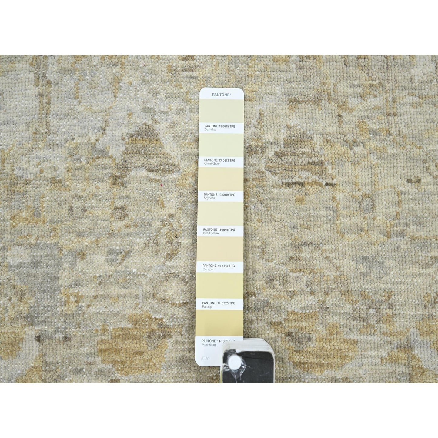 9'1"x12'2" Gray Broken and Erased Sultanabad Design Wool Hand Knotted Rug