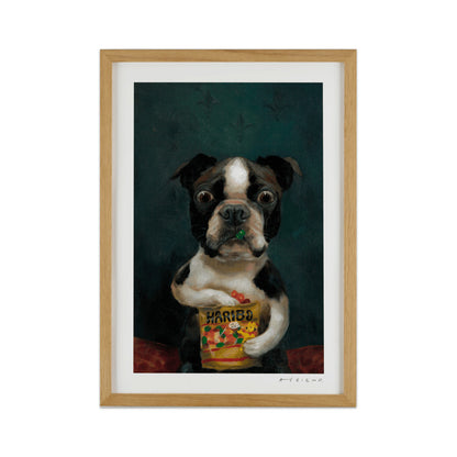 Alison Friend - Dog Framed Signed - Dave 2024