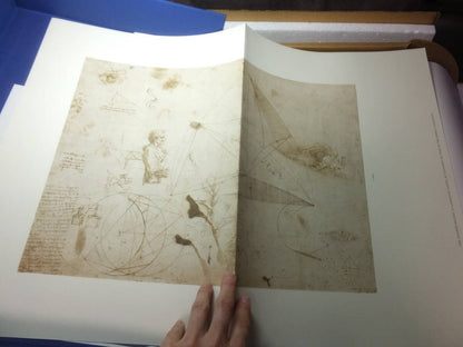 Leonardo da Vinci's Drawings! Volume 1! Iwanami Shoten