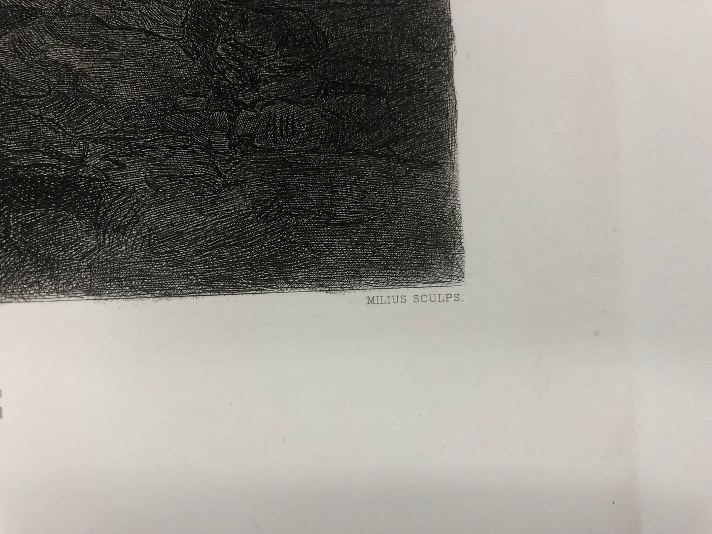 Leonardo Da Vinci La Vierge L'Enfant Jesus Et St. Anne " Etching