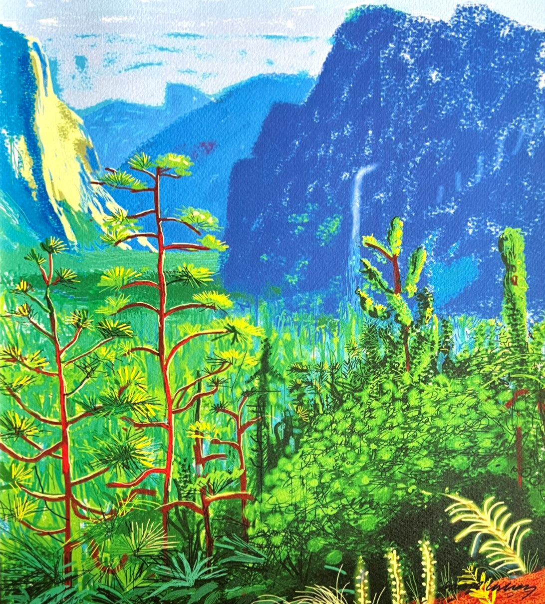 David Hockney Lithograph Coa Signed Op Hand Numbered Limited