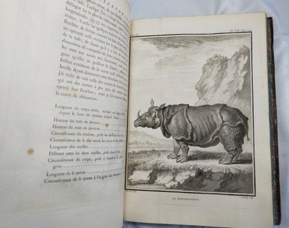 1754 Buffon Histoire Naturelle Vol 11 First Ed Elephant Rhino Camel 42 Plates