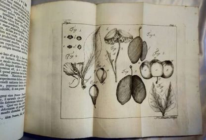 1751/1755 Acta Helvetica Vol.1-2 Basel Scientific Journal Bernoulli Engravings