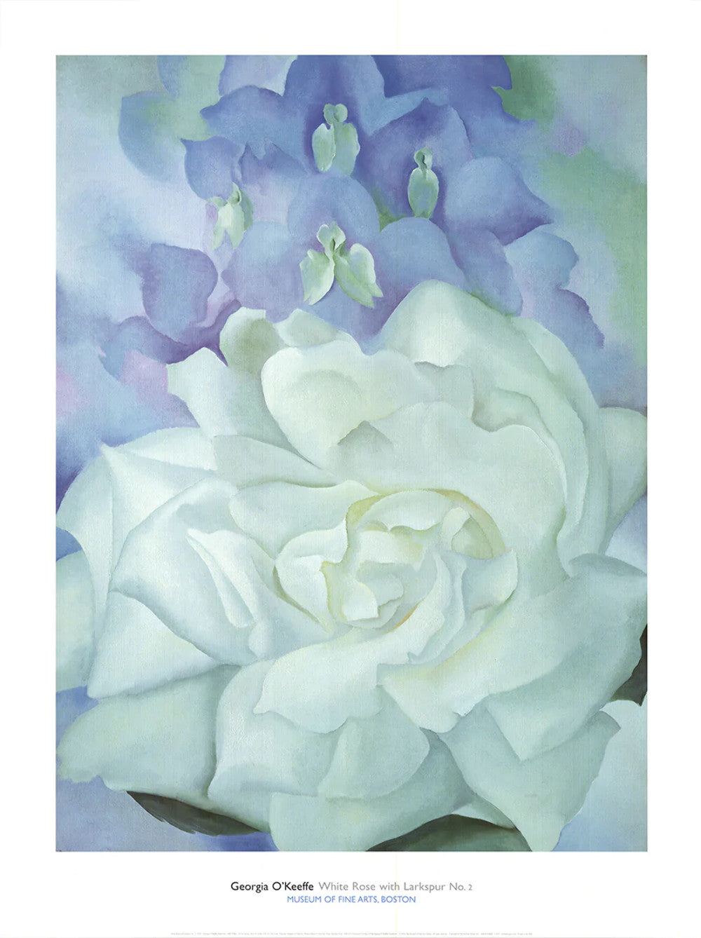 Georgia O'Keeffe White Rose With Larkspur No.2 " Offset Lithograph
