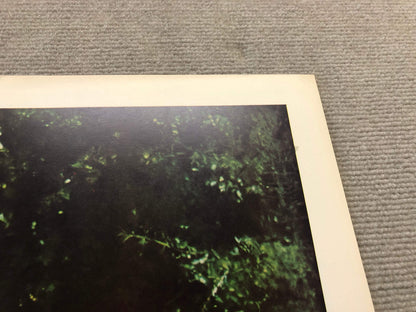 John Salt Pioneer Pontiac Signed " Offset Lithograph Realism Mu