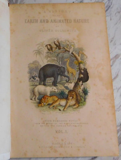 1866 Goldsmith History Of Earth And Animated Nature 2 Vols Blackie Hand-Color