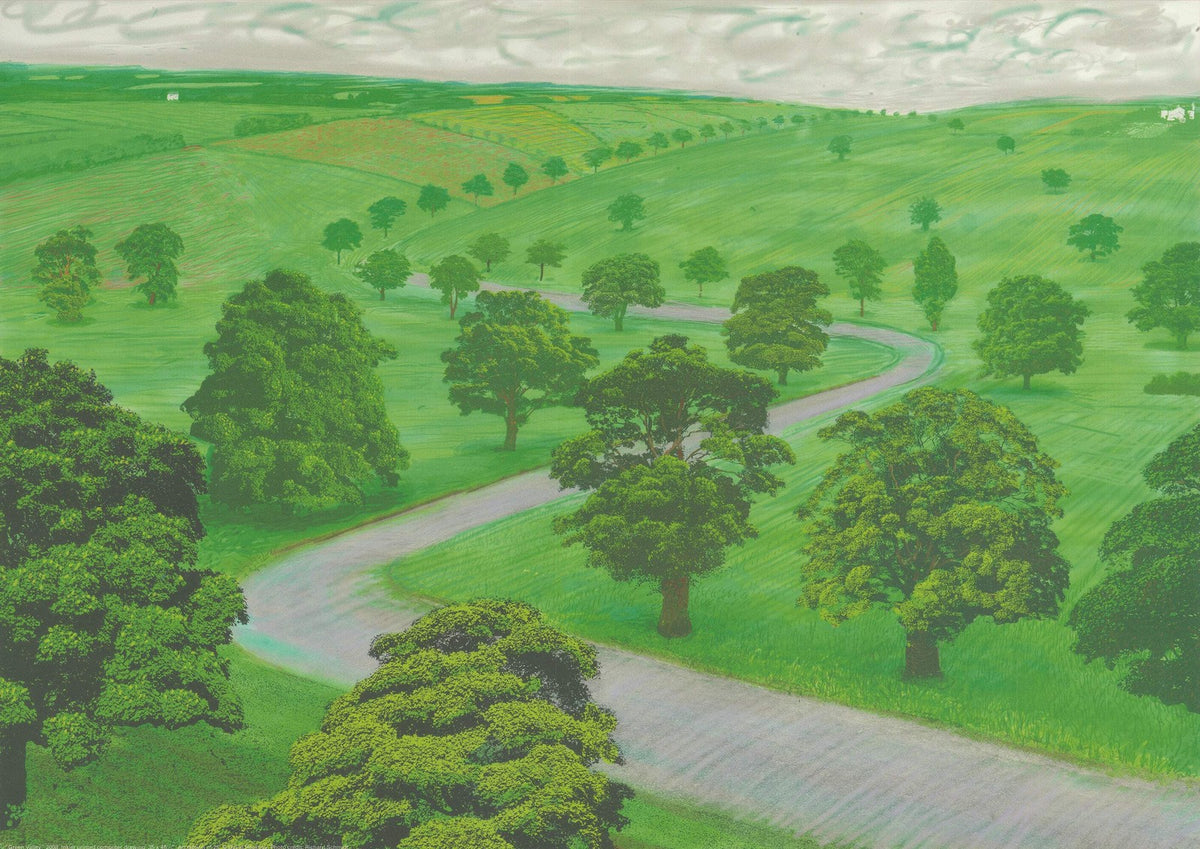 DAVID HOCKNEY Green Valley 19.5" x 24" Offset Lithograph 2008 Pop Art Green Gra