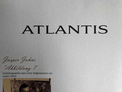 Jasper Johns Lithograph Coa Signed In Pen Numbered In Pencil Limited