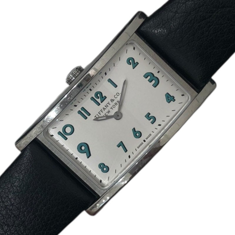 Tiffany&Co East West Mini 60557985