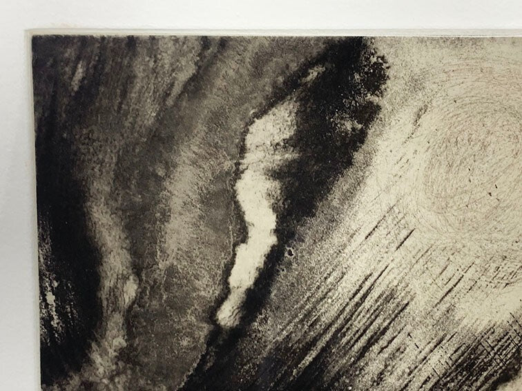 9 Anish Kapoor Original Etching Pencil Signed Numbered Framed ED30 Jacob Samuel