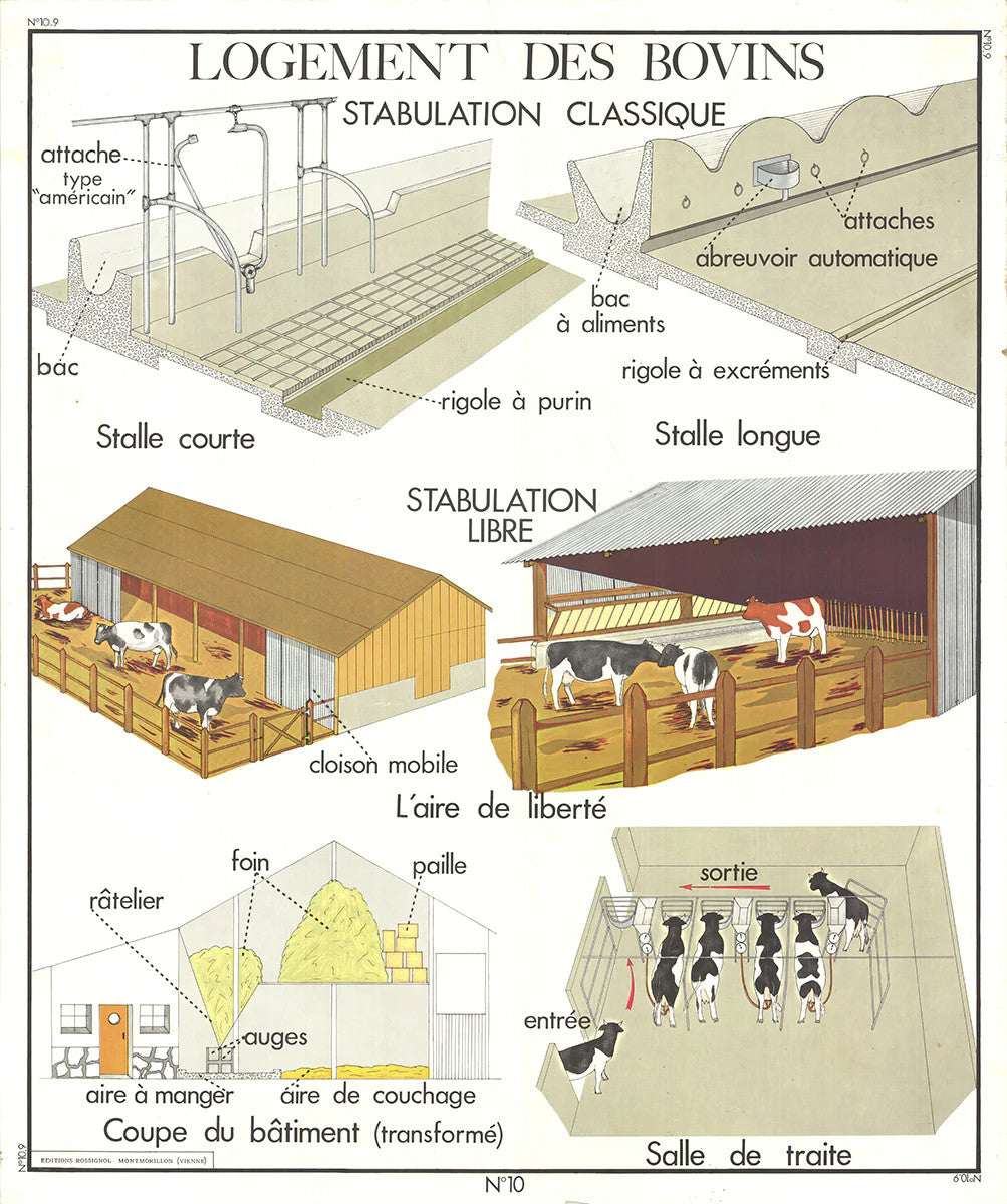 Emile Deyrolle Logement Des Bovins " Offset Lithograph Contempo