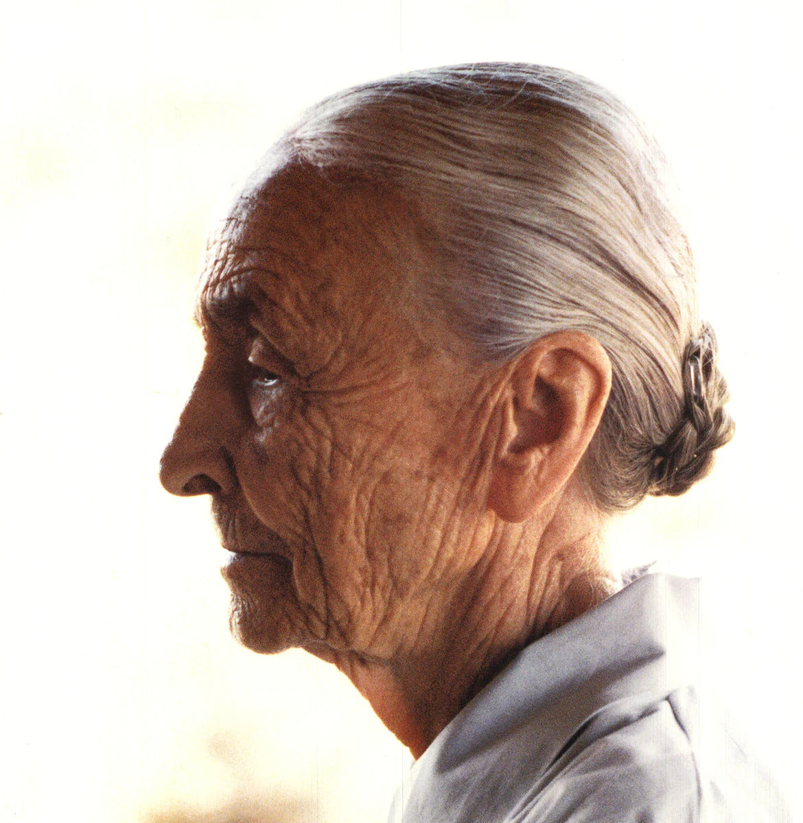 Wendy Lehman Georgia O'Keeffe " Offset Lithograph Photography