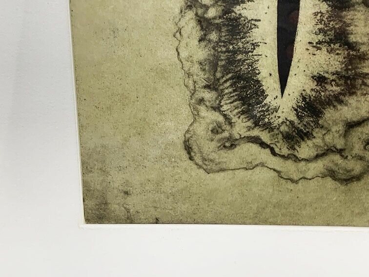 Anish Kapoor Original Etching Pencil Signed