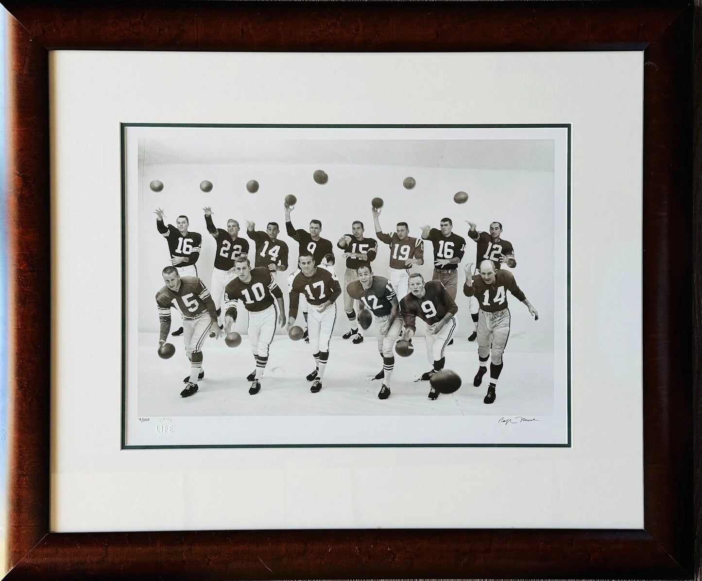 1961 Top Quarterbacks Of National Pro Teams 16X20 Photo