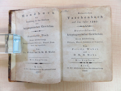 Friedrich Weber ?Botanisches Taschenbuch Auf Das Jahr 1807?Rare Botanical Book