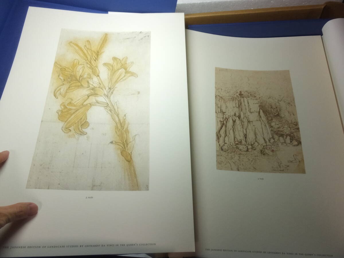Leonardo da Vinci's Drawings! Volume 1! Iwanami Shoten
