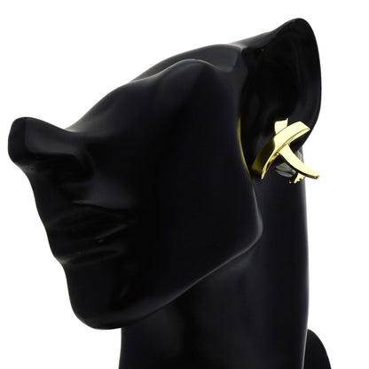 Tiffany&Co. Earring Paloma Picasso Graffiti X