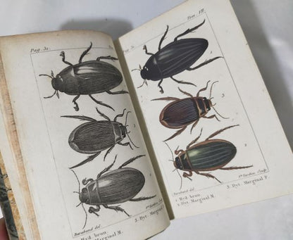 1813 Histoire Naturelle Des Insectes Tome Vii Hand Colored Engravings De Tigny