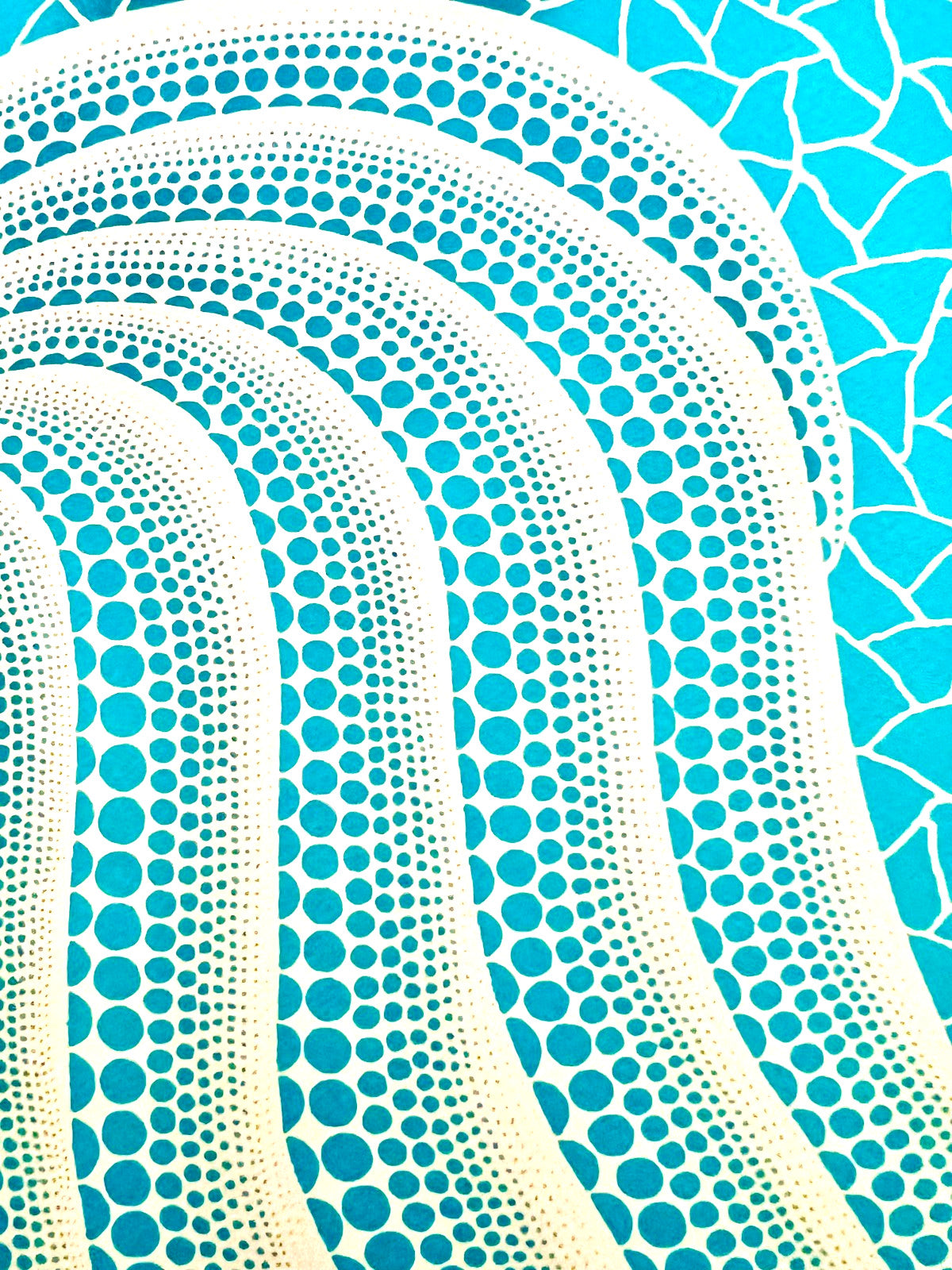 Yayoi Kusama Lithograph Mori Museum Coa Numbered Limited Fit