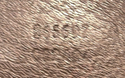 Gucci Joy Boston Bag Gg Coated Canvas Medium