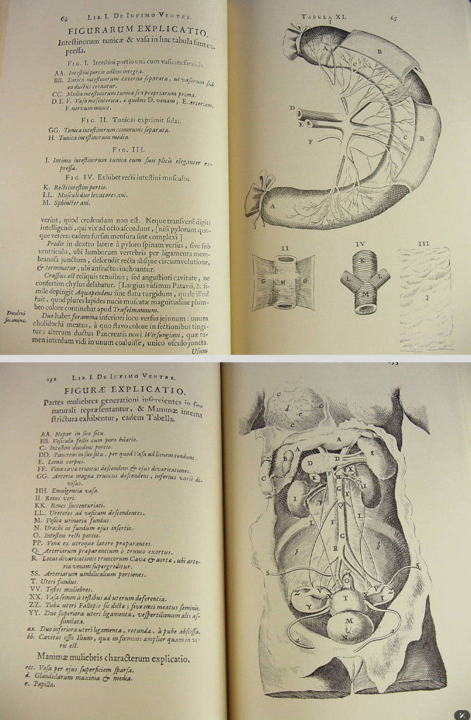 Rare 1976 Limited Edition Anatomia Reformata By Thomas Bartholin Facsimile
