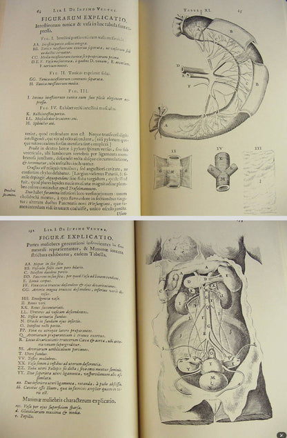 Rare 1976 Limited Edition Anatomia Reformata By Thomas Bartholin Facsimile