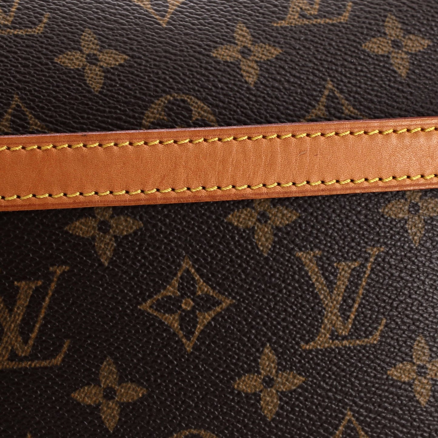 Louis Vuitton Reporter Bag Monogram Canvas Pm