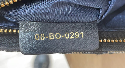 Christian Dior 30 Montaigne 2-In-1 Pouch Oblique Canvas