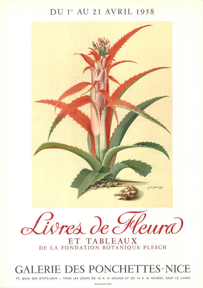 Georg Dionysius Ehret Flower Books And Paintings From The Plesch Botanical Found