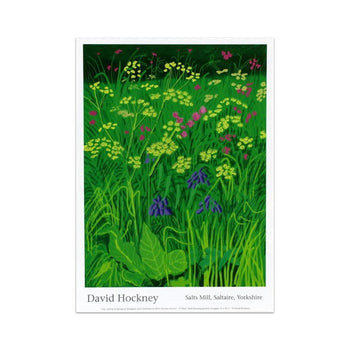 David Hockney Original Exhibition Poster -17Th