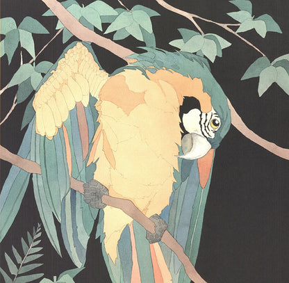 Dan Goad Macaw " Offset Lithograph Contemporary