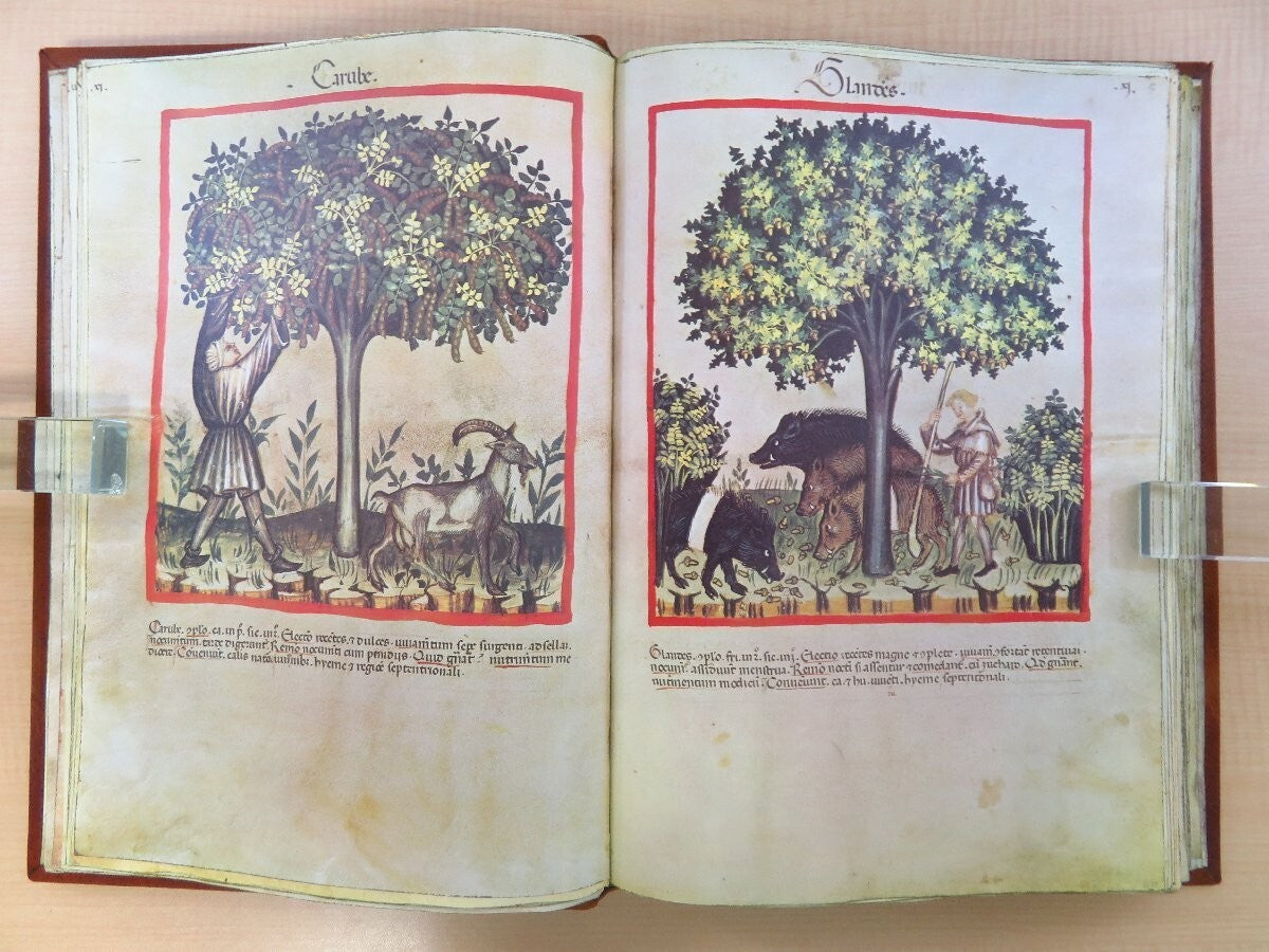 Tacuinum Sanitatis In Medicina. Codex Vindobonensis Series Nova 2644 Facsimile