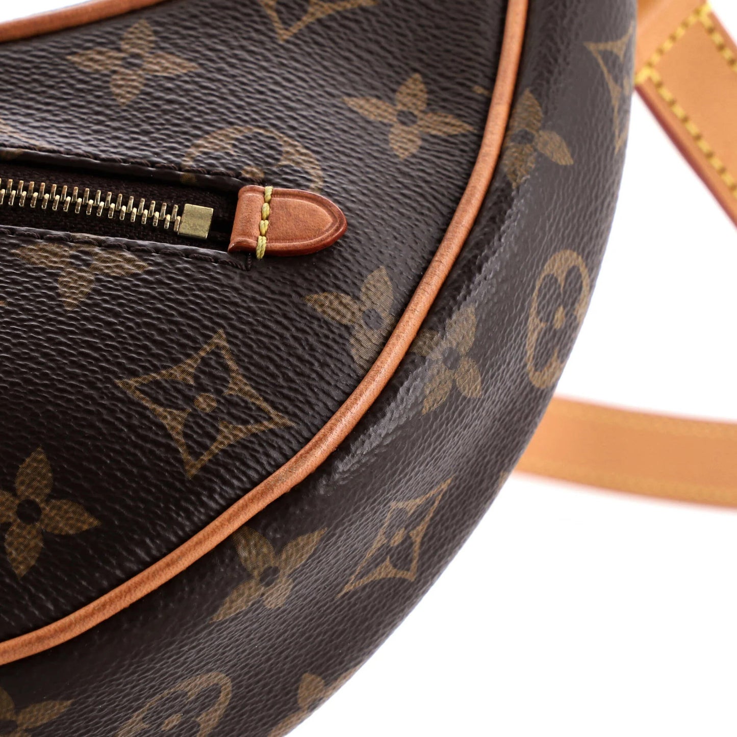 Louis Vuitton Loop Handbag Monogram Canvas