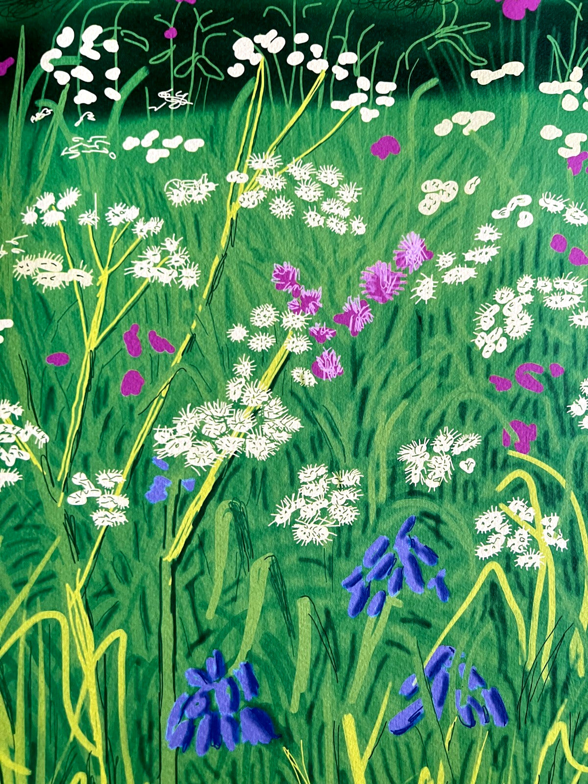 David Hockney Lithograph Handmade Coa Signed Op Numbered Limited &