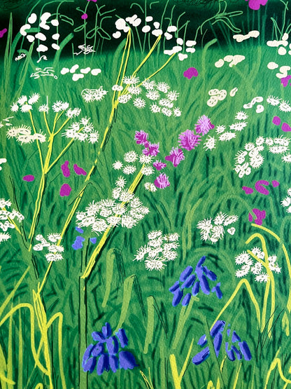 David Hockney Lithograph Handmade Coa Signed Op Numbered Limited &