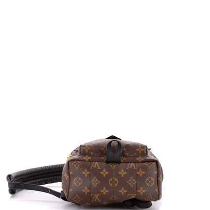 Louis Vuitton Palm Springs Backpack Monogram Canvas Pm