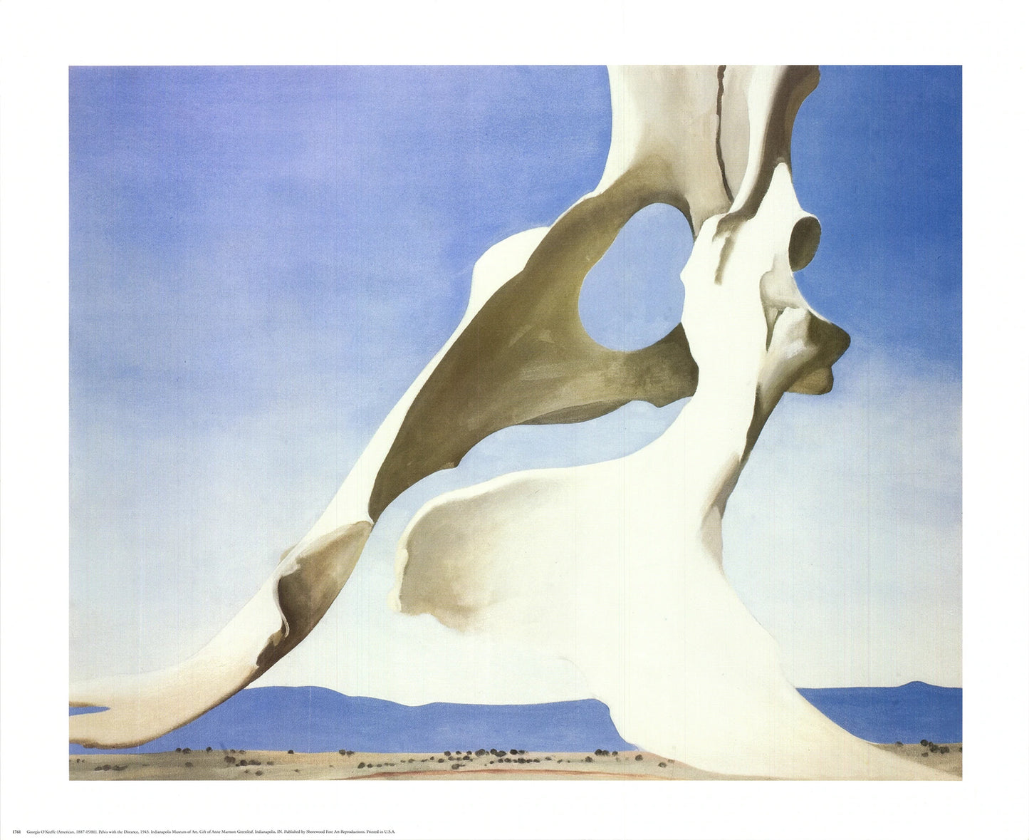 Georgia O'Keeffe Pelvis With The Distance " Offset Lithograph Moder
