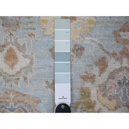 8'4"X10'2" Blue All Over Village Elements Angora Oushak Oriental Rug