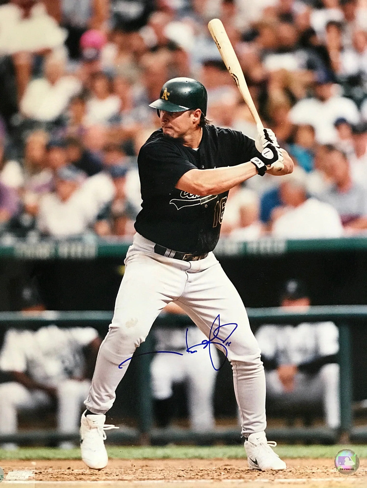 Jason Giambi Autographed 16X20 Baseball Photo