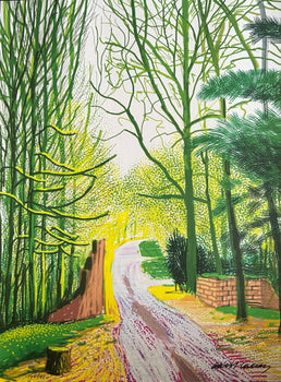 David Hockney Lithograph Coa Signed Op Numbered