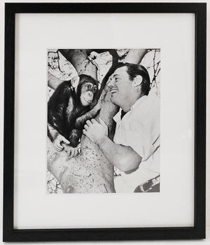 Acme Newspicture Johnny Weissmuller Vintage Press